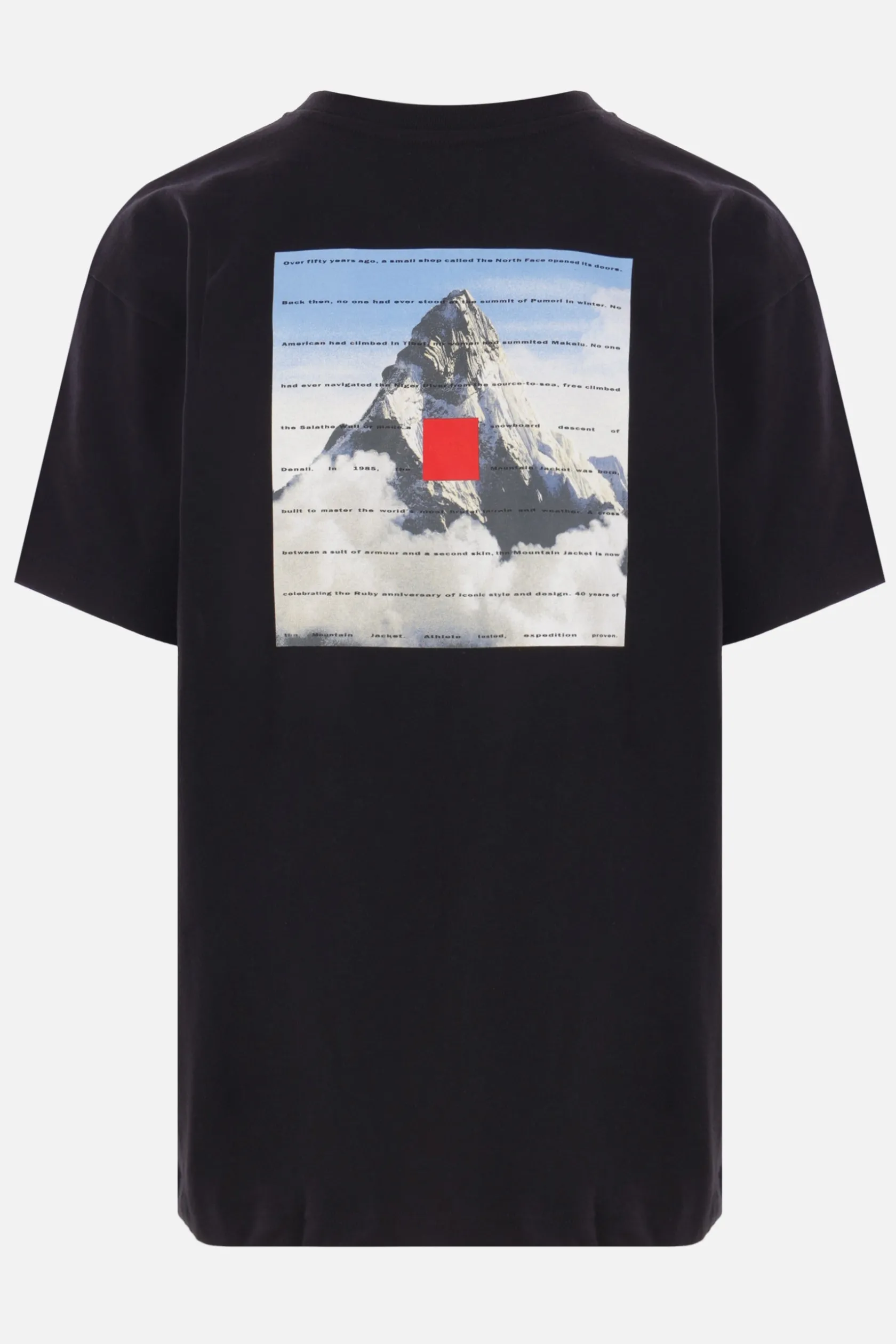 Topwear>THE NORTH FACE t-shirt 40TH Anniversary Mountain in cotone Nero