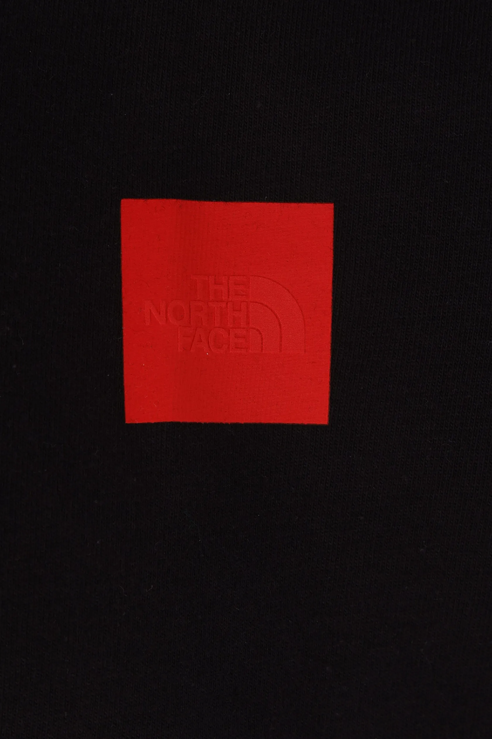 Topwear>THE NORTH FACE t-shirt 40TH Anniversary Mountain in cotone Nero